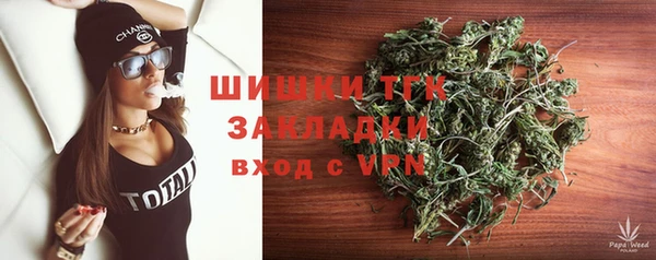 spice Арсеньев