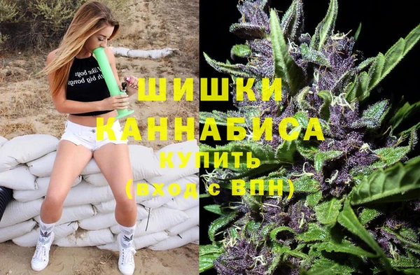 spice Арсеньев